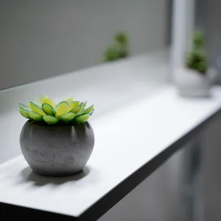 Prestige Apartament Lugano